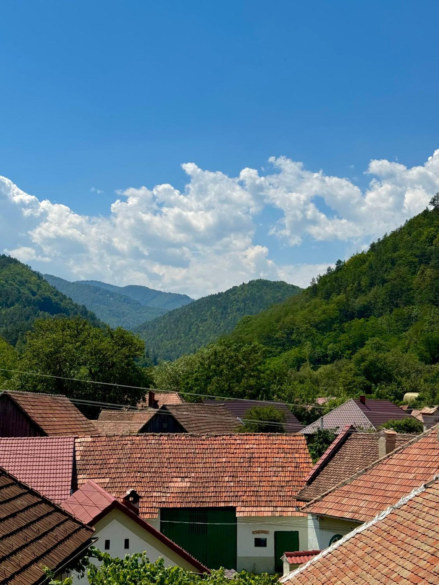 Casa Presecan Tălmaciu Esterno foto